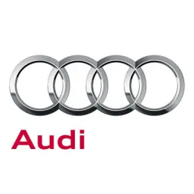 Audi 4m0-199-870-an Genuine Bearing