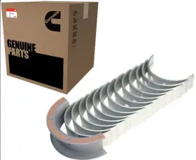 4955352 Cummins Genuine Parts Main Bearing Std