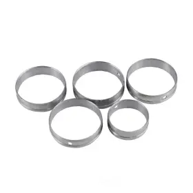Cb1160 Dnj Engine Components Camshaft Bearing Set-vin 2 Ohv Hemi 16 Valves