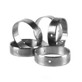 Cb3165 Dnj Engine Components Camshaft Bearing Set-vin U Ohv Vortec 16 Valves
