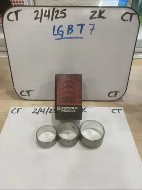 1591m Federal Mogul Camshaft Bearing Set
