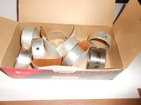 Fp-1413m Federal Mogul Cam Bearing Set - F16 #3