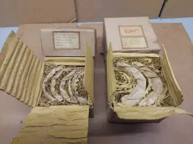 1ba-6330 Ford Vintage Nib Main Bearing Set 1949 - 1953 Flathead V8 At .020