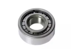 12388150 Gm Genuine Bearing