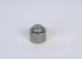 24243421 Gm Genuine Manual Transmission Clutch Pilot Bearing