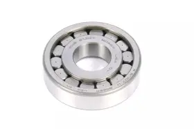 89026975 Gm Genuine Bearing