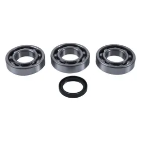 Hr00009 Hot Rods Hds Main Bearing And Seal Kit