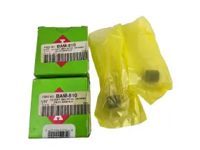Bam-810 Ina 2pcs Nos Starter Shaft Housing Bearing Bam810
