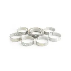 71823860 Reliance Power Products Main Bearing Set