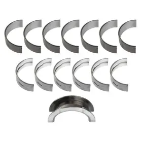 Wa902-17-6616 World American Main Bearing