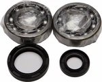 New Balls 24-1030 Crank Bearing And Seal Kit Honda 250R Free Ship. Fixed Price $84.39.