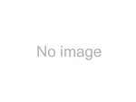 Sealed Power Main Bearing Set (4261M 20). Fixed Price $133.98.