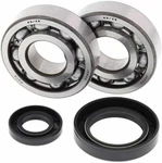 Balls 24-1030 Crankshaft Bearing & Seal Kit Fits 1992-2007 Honda CR250R. Fixed Price $88.83.
