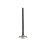 Engine Intake Valve-sohc, Code: EJ253, Natural, 16 Valves Dnj IV710. Fixed Price $15.87.