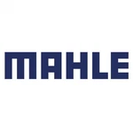 Clevite MS-2202H H-series Main Bearings, Half Groove Fits Ford. Fixed Price $132.81.