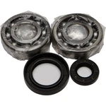 Balls Crankshaft Bearing/seal Kit 24-1030. Fixed Price $84.39.