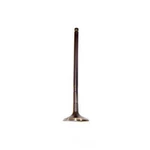 Engine Exhaust Valve-sohc, Code: EJ253, Natural, 16 Valves Dnj EV710. Fixed Price $17.90.