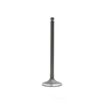 Engine Intake Valve-dohc, 16 Valves Dnj IV107. Fixed Price $14.12.