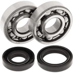 Balls 24-1008 Crank Bearing And Seal Kit. Fixed Price $85.38.