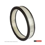 Motorcraft Oem FA-613-R Engine Air Filter Ford Ltd Torino Ranchero. Fixed Price $22.51.