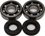 Balls 24-1006 Crankshaft Bearing And Seal Kit. Fixed Price $63.05.