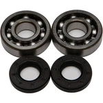 Balls Crankshaft Bearing/seal Kit 24-1006. Fixed Price $63.05.