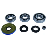 Quadboss Qbs Bearings 412797. Fixed Price $74.99.