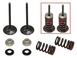 Psychic Intake Valve Kit XU-09531IK Reliable Engine Air Management. Fixed Price $78.88.