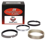 Chevrolet Gmc V6 262 4.3 1996 - 2014 Enginetech Moly Piston Rings. Fixed Price $68.49.