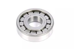 Genuine Gm Bearing 89026975. Fixed Price $19.99.