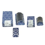 Bearing Cup Set Standard Ks For Vw 1.9 2.0 Tdi 77555600 77553600 78635600 Axb. Fixed Price $182.09.