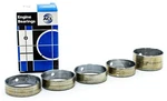 Acl Bearing 5C1001S-00 Cam Set Chevy V8, 4.8/5.3/5.7/6.0L/6.2L/7.0L Gen. Fixed Price $26.99.