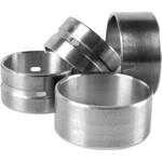 BS3138 Dnj Balance Shaft Bearing Sets Of 4 For Chevy Chevrolet Colorado Gmc. Fixed Price $50.52.