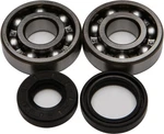 Balls 24-1008 Crankshaft Bearing And Seal Kit. Fixed Price $85.38.