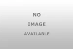 Sealed Power Federal Mogul 1874M Camshaft Bearing. Fixed Price $68.06.