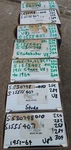 Studebaker 1951/64 224 232 259 289 304 V8 010 Size H/d Clevite Main Bearing Sets. Fixed Price $254.64.